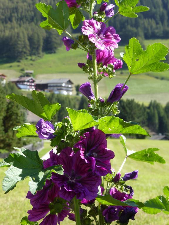Haus Panoramablick Apartment Kals am Grossglockner Ngoại thất bức ảnh